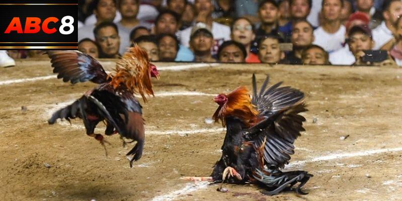 Hội viên có cơ hội nhận quà liên tục từ chương trình khuyến mãi